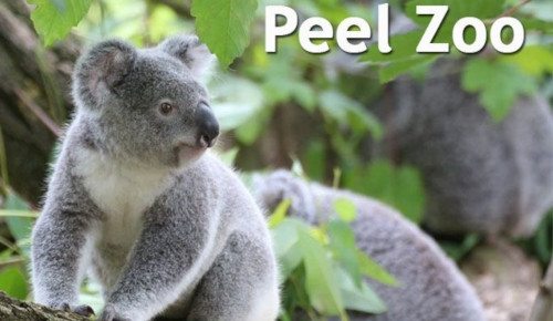 Peel Zoo